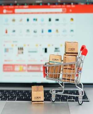 Shopify Development Services